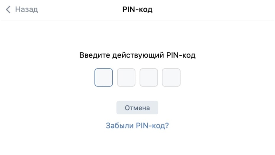 Изображена страница ввода PIN-кода в мини-приложении VK Pay